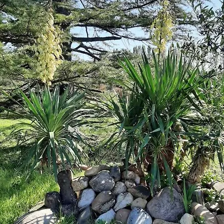 Au Cabanon De Semesterbostad Lisle-sur-Tarn