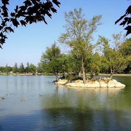 Au Cabanon De Lisle-sur-Tarn