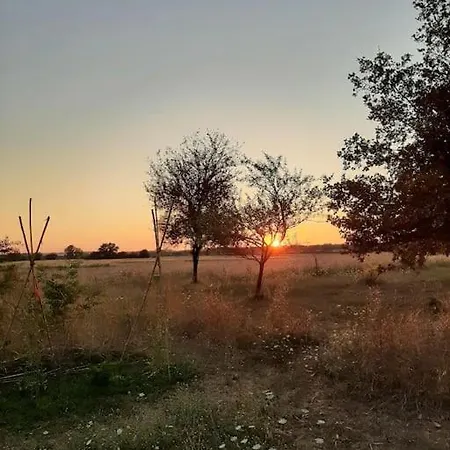 Au Cabanon De Casa vacanze *